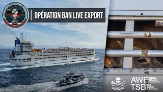 Opération Ban Live Export