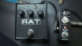 Rat (Mikes Mod) vs Black Secret (Proco and Mooer) [no talking]