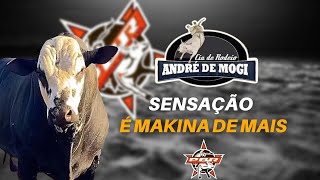 TOURO SENSAÇÃO É MAQUINA DEMAIS !!! RODEIO DE DIVINOPOLIS 2023 ETAPA PBR !!!!! CIA ANDRE DE MOGI