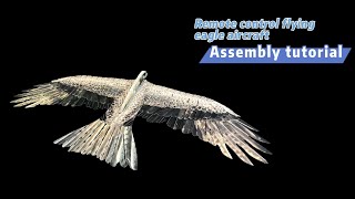 Little Flying Eagle Assembly Tutorial