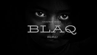 [SOLD] "Blaq Bird" Afrobeat Instrumental 2022 [Omah Lay Type Beat]