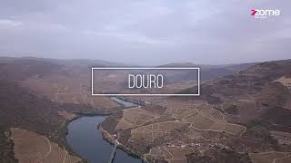 Procuramos Imóveis no DOURO