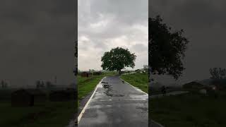 nice mausam 🌧️#shorts #youtubeshorts