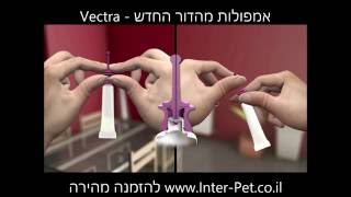 VECTRA - אמפולות וקטרה לכלבים, נגד קרציות, פרעושים, פישפשים, מעופפים וכל סוגי המזיקים