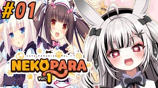 【NEKOPARA Vol. 1】ご主人様って呼んでくれ【堕天しすた/ハコネクト】#vtuber #新人vtuber