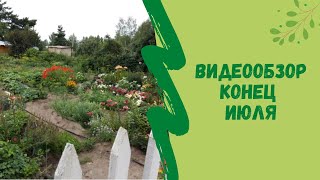 Видеообзор  конец Июля