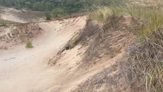 Dune Section At Top of Point Secret Location