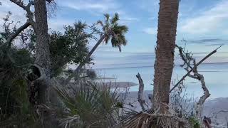 First Day Hike inside T.H. Stone Memorial St. Joseph Peninsula State Park on Cape San Blas, FL.