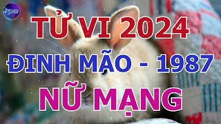 Tử Vi Nữ Mạng Đinh Mão 1987 Trong Năm 2024 | Phong Thủy Hoàng Đạo