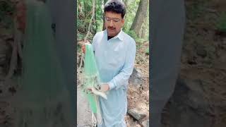 catching trout fish in wadi kumrat kindly subscribe thanks