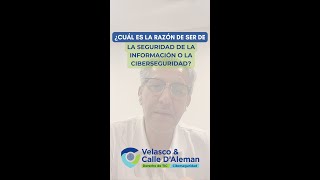 ¿Cuál es la razón de ser de la seguridad de la información o la ciberseguridad?