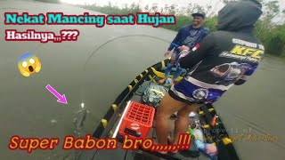 mancing toman saat hujan || toman big size pun berhasil landed