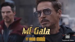 Iron Man Mi Gata HD Status 🔥 Tony Stark (RDJ)❤️#whatsapp #video #viral