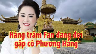 Trực tiếp hàng trăm Fan hôm mộ nguyễn Phương Hằng đến Đại Nam