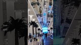 Dubai Airport🇦🇪 #youtubeshorts #shortsvideo #shorts