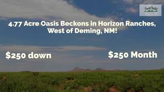 4.77 Acre Oasis Beckons in Horizon Ranches, West of Deming, NM, a Great lot for Camping and building