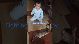 Cute cat video #shortsvideo#shortvideo#trendingshorts#youtubeshorts#blog