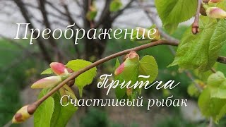 Притча. Счастливый рыбак