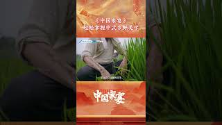 【CUT2】EP02 "The Chicken and Corn Feast"｜The rural life of #DuFu in "#ChineseBanquet."