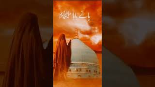 #ayamfatima #ayyamefatemiyyah #ayyamefatmiya #shiastatus #shia#trendingshorts #shorts #yaali#karbala