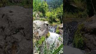 Day 50 | Trek to Soyal Village - Manali | Best Camping Spot near Manali #shorts #travel