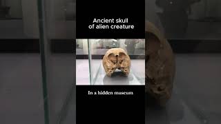 Skull of Ancient Alien Creature