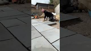 🤩BIG PAVING🤩 #landscaping #moresubscribers #moreviews #enjoy #paving #trending