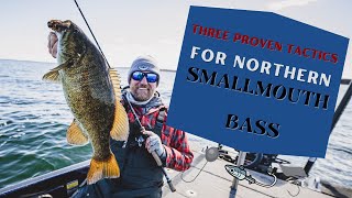 3 PROVEN Tactics for Northern Smallmouth Bass