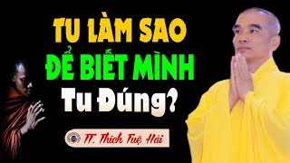 Tu làm sao để biết MÌNH TU ĐÚNG? - Thầy Thích Tuệ Hải