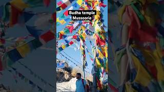 Budha temple Mussoorie #shortsvideo #matkanvibesshorts #trendingshorts #uttarakhand #hillstation