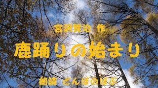 宮沢賢治「鹿踊りの始まり」　朗読：どんぽのばぶさん