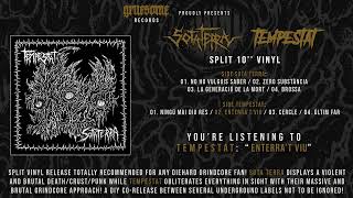 Tempestat - "Enterra't Viu" (audio stream)