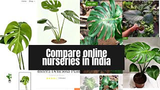 Compare online plant nurseries India | #Ugaoo | #NurseryBuy | #Soiled.in