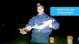 Pesca en los cañadones. sur argentino.