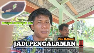 TIDAK DI SANGKA ‼️BANYAK BURUNG CUCAK IJO DI SINI