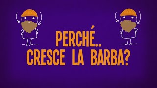 Perché cresce la barba?