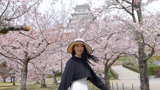 I FINALLY Got To Visit The Most Beautiful Castle In Japan