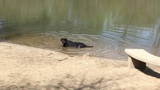 Boris loved water