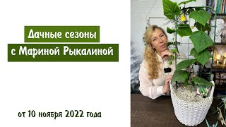 Дачные сезоны с Мариной Рыкалиной от 10 ноября 2022 года