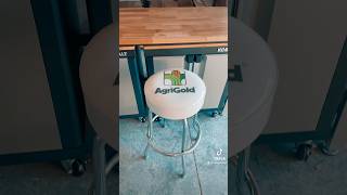 Custom barstool for AgriGold #farming #custombarstools #barstool #farmer #custom #agswag