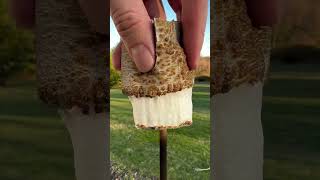 marshmallow #satisfying #asmr #shorts