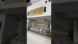 Shanghai APPPEXPO WeenTek WK-702 Pro 70cm DTF Printer Working Video