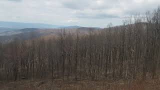 April 14, 2019 Shenandoah National park