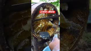 আল্লাহু আকবার একেমন মৌচাক। #মৌচাক #মধু#honeybee #viralshorts #honey #honeybee