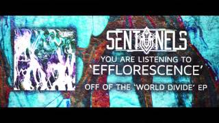 Sentinels - Efflorescence [Official Song Stream]