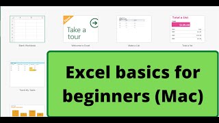 Excel Basics for beginners (MAC)