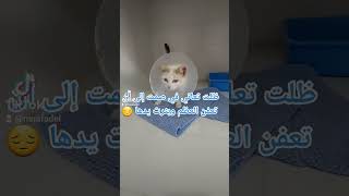 إنقاذ قطه سقطت من الطابق الثالث 😔