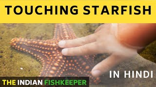 I Touched STARFISH | Kaisa lagta hai starfish ko haath lagane par