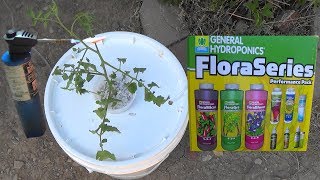 Making a Cheap, 5Gal Hydroponics system! DWC