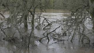 Hyak Park Flood -10% Stable